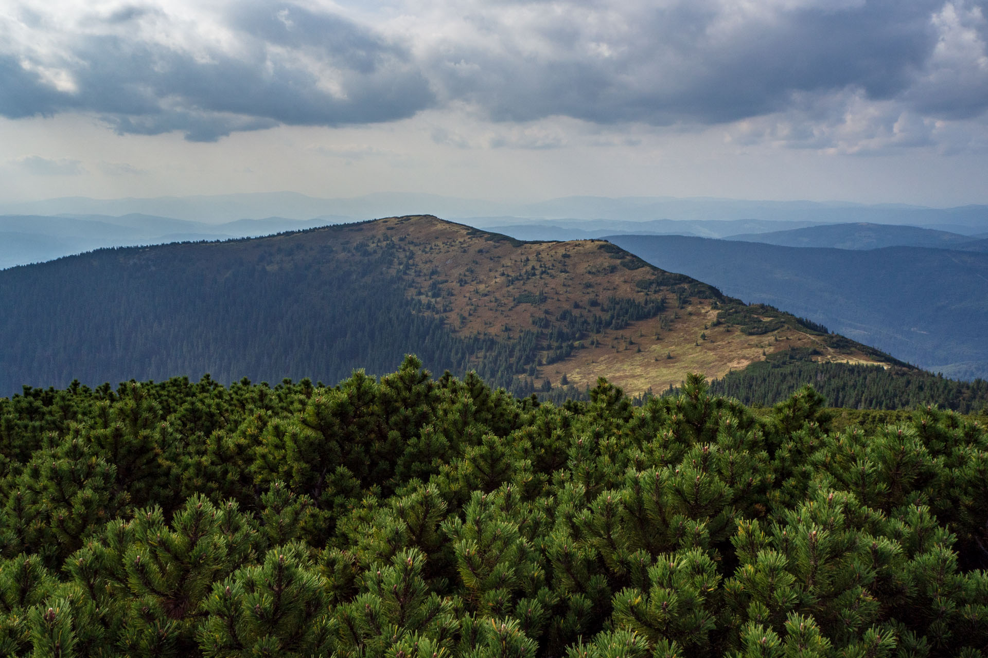 Babia hora z Pasekov (Oravské Beskydy)