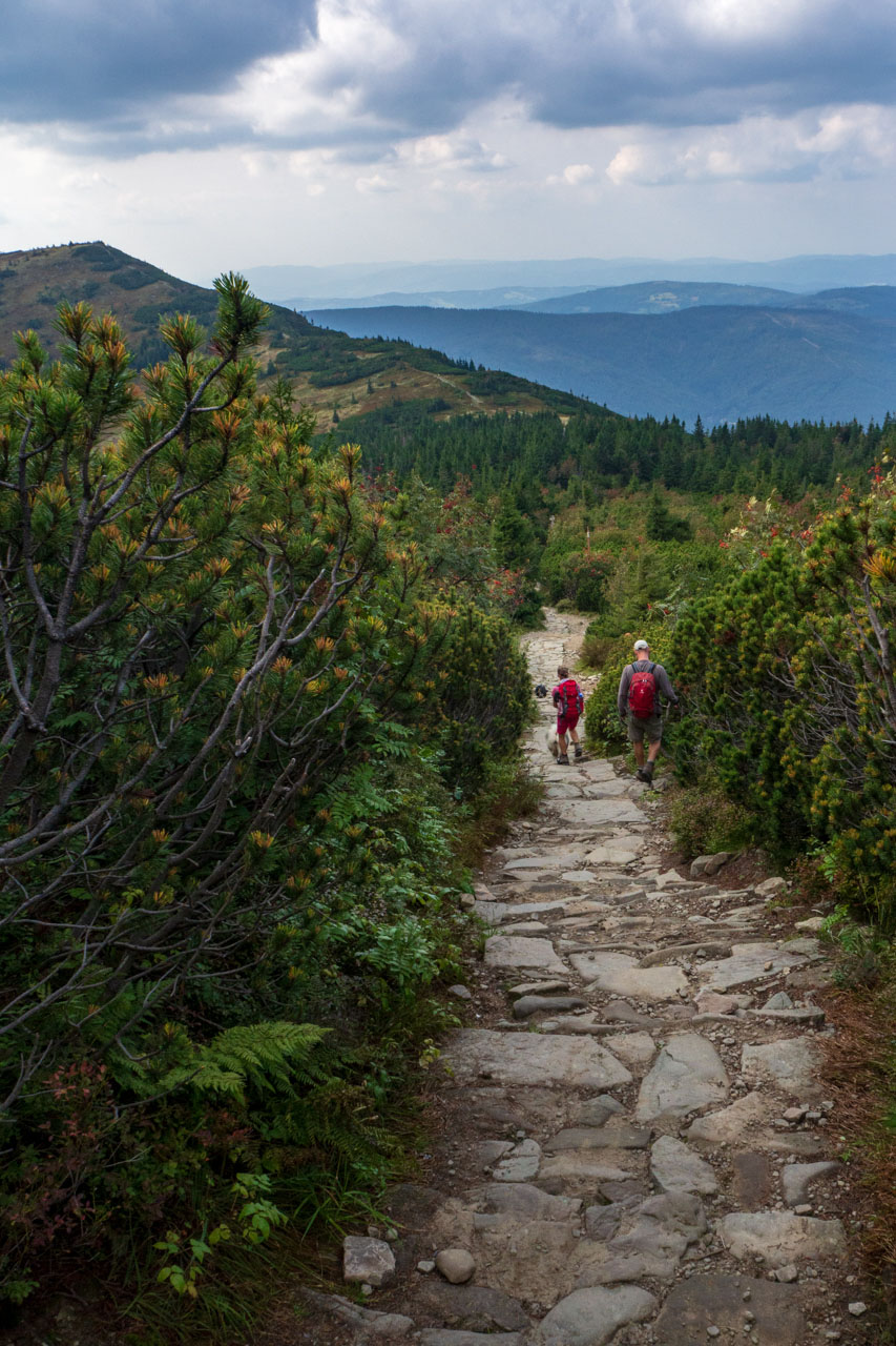 Babia hora z Pasekov (Oravské Beskydy)