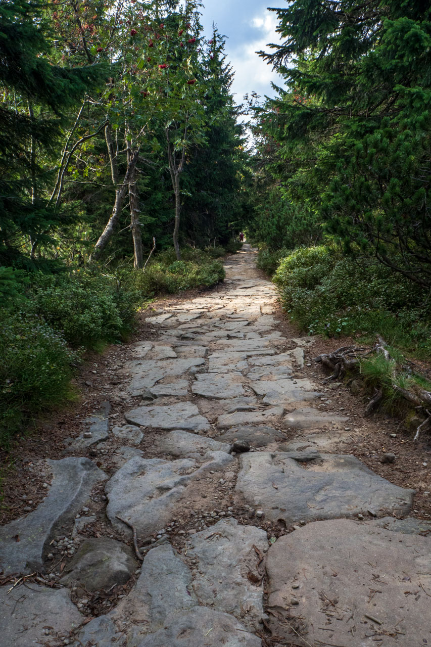 Babia hora z Pasekov (Oravské Beskydy)