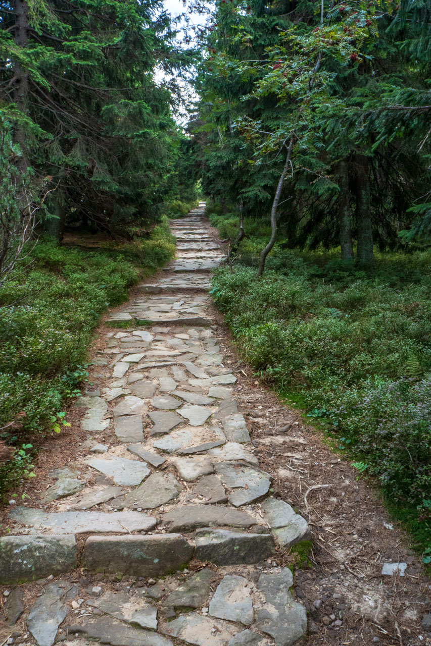 Babia hora z Pasekov (Oravské Beskydy)