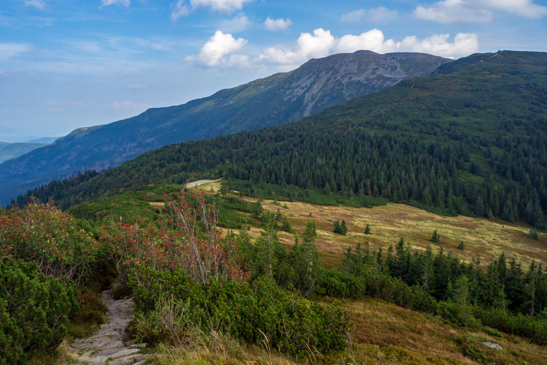 Babia hora z Pasekov (Oravské Beskydy)