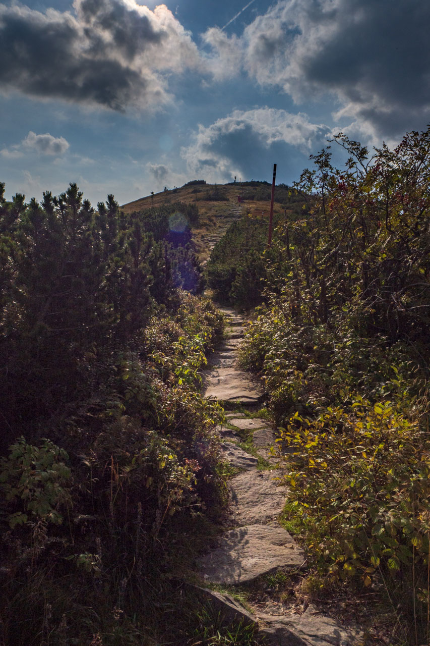 Babia hora z Pasekov (Oravské Beskydy)