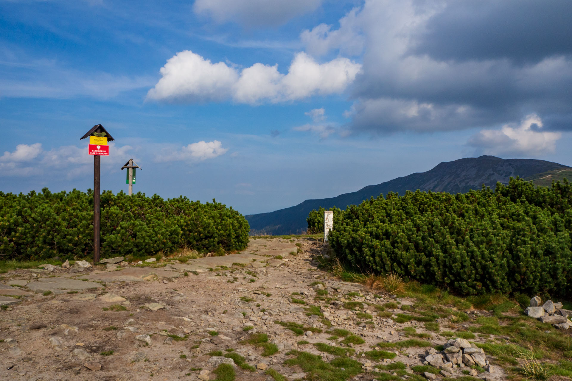 Babia hora z Pasekov (Oravské Beskydy)