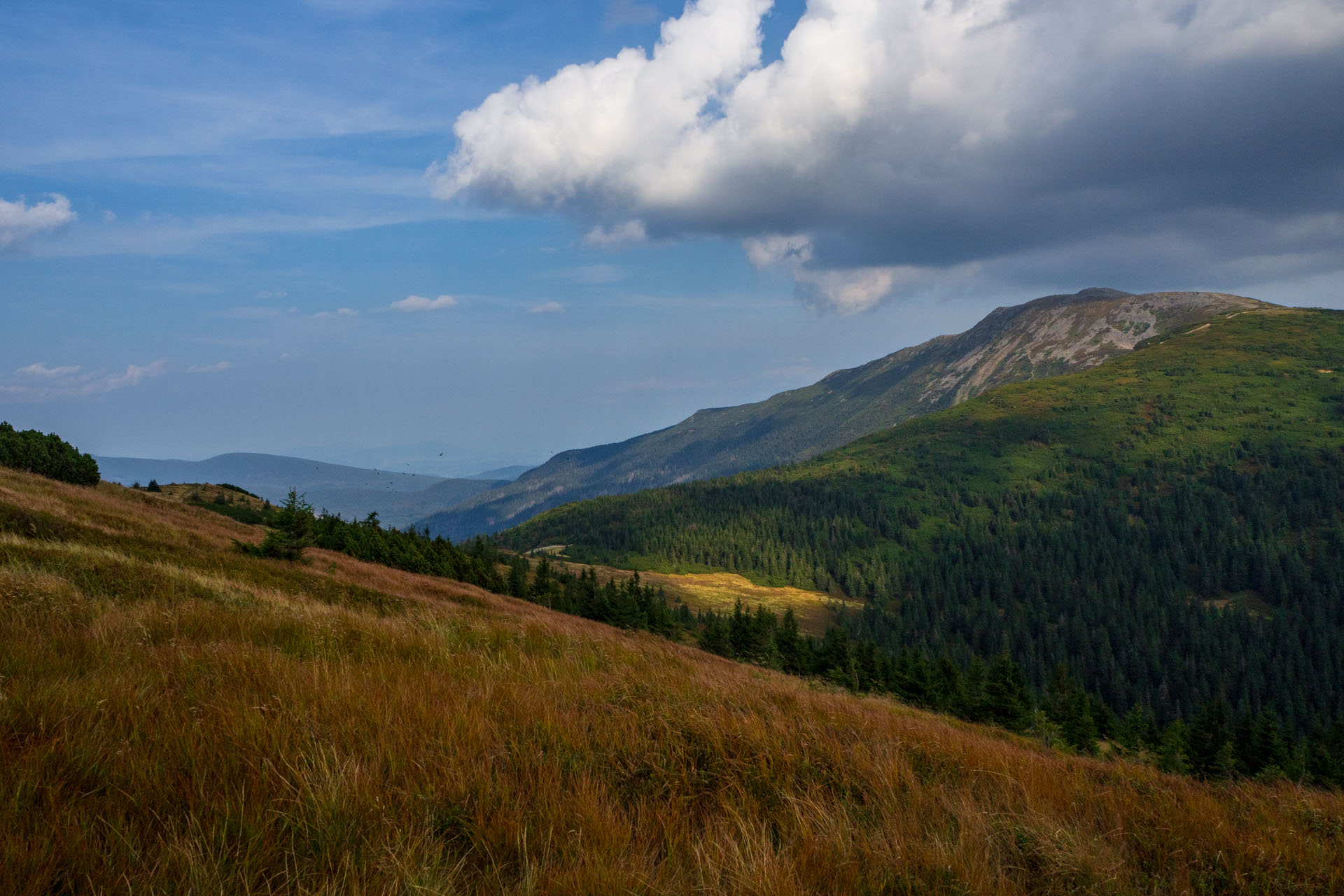 Babia hora z Pasekov (Oravské Beskydy)