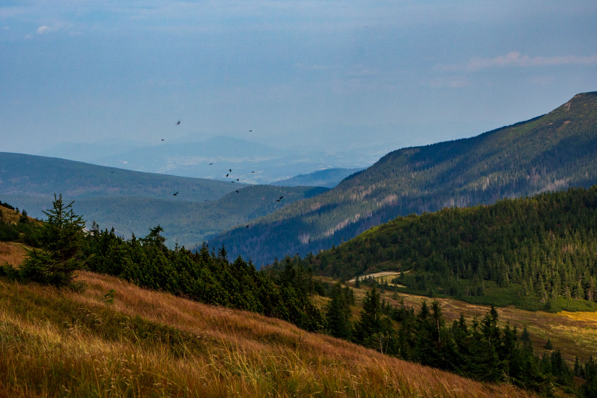 Babia hora z Pasekov (Oravské Beskydy)