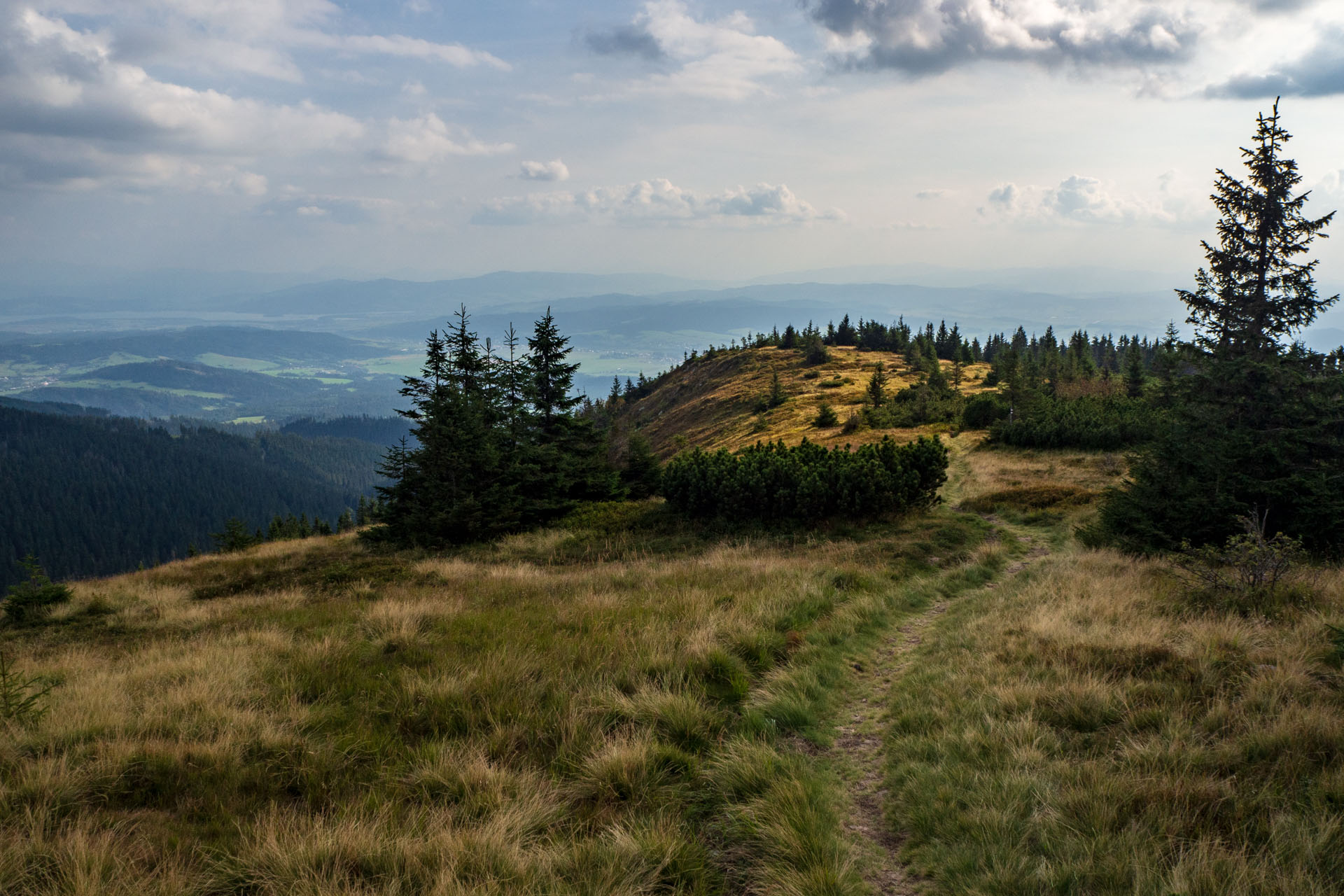 Babia hora z Pasekov (Oravské Beskydy)