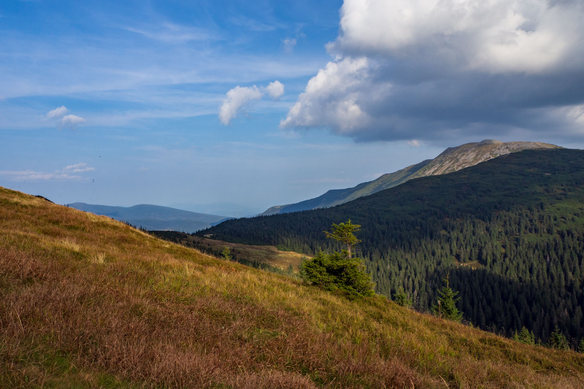 Babia hora z Pasekov (Oravské Beskydy)