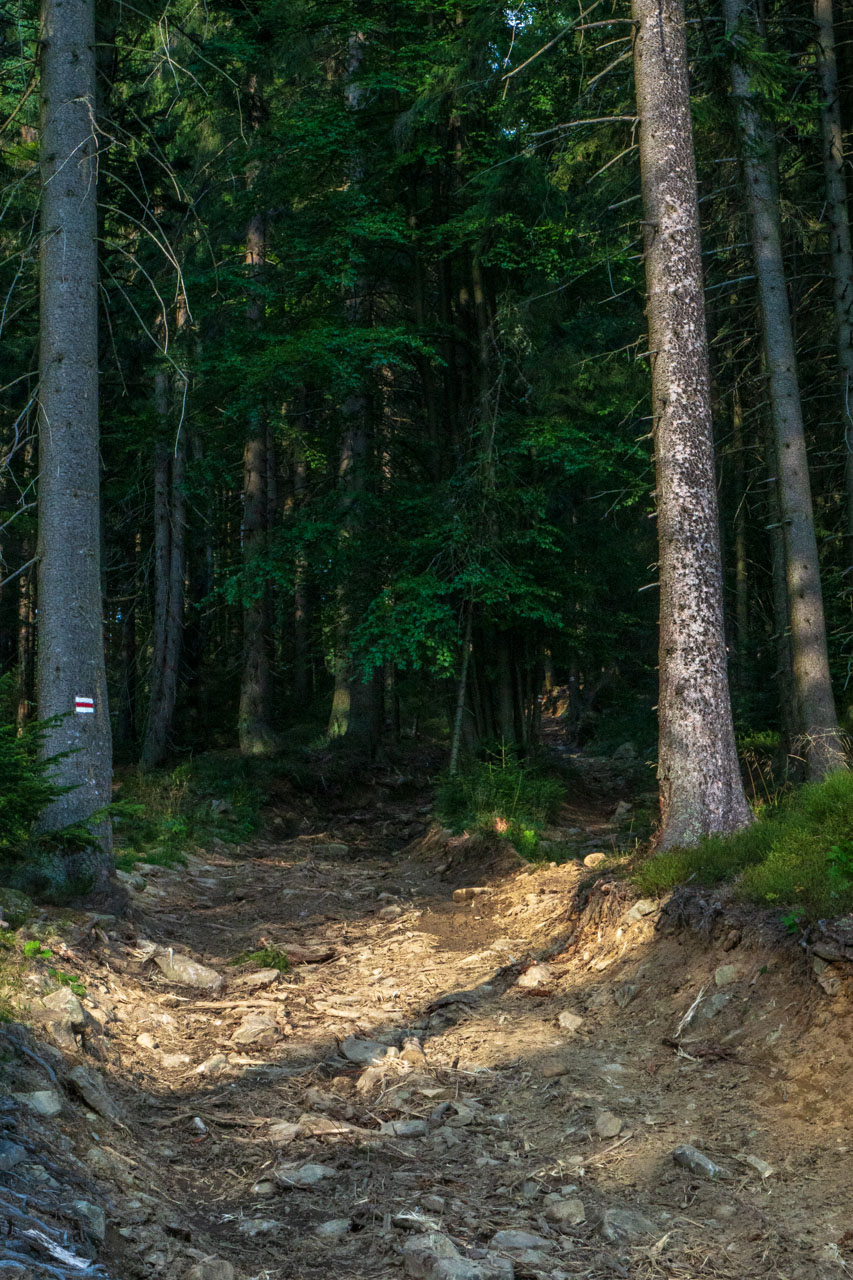 Babia hora z Pasekov (Oravské Beskydy)