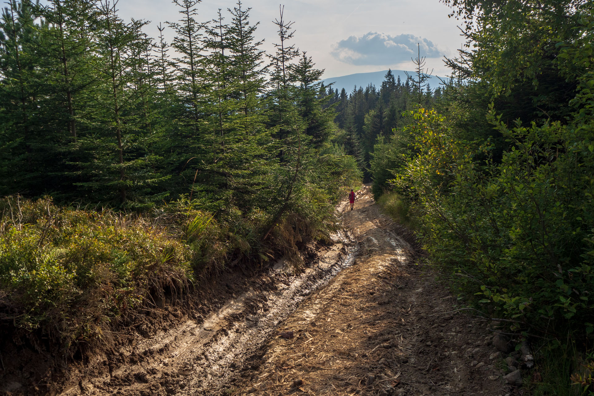 Babia hora z Pasekov (Oravské Beskydy)