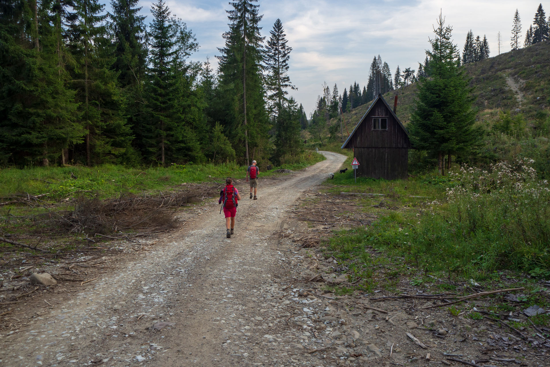 Babia hora z Pasekov (Oravské Beskydy)