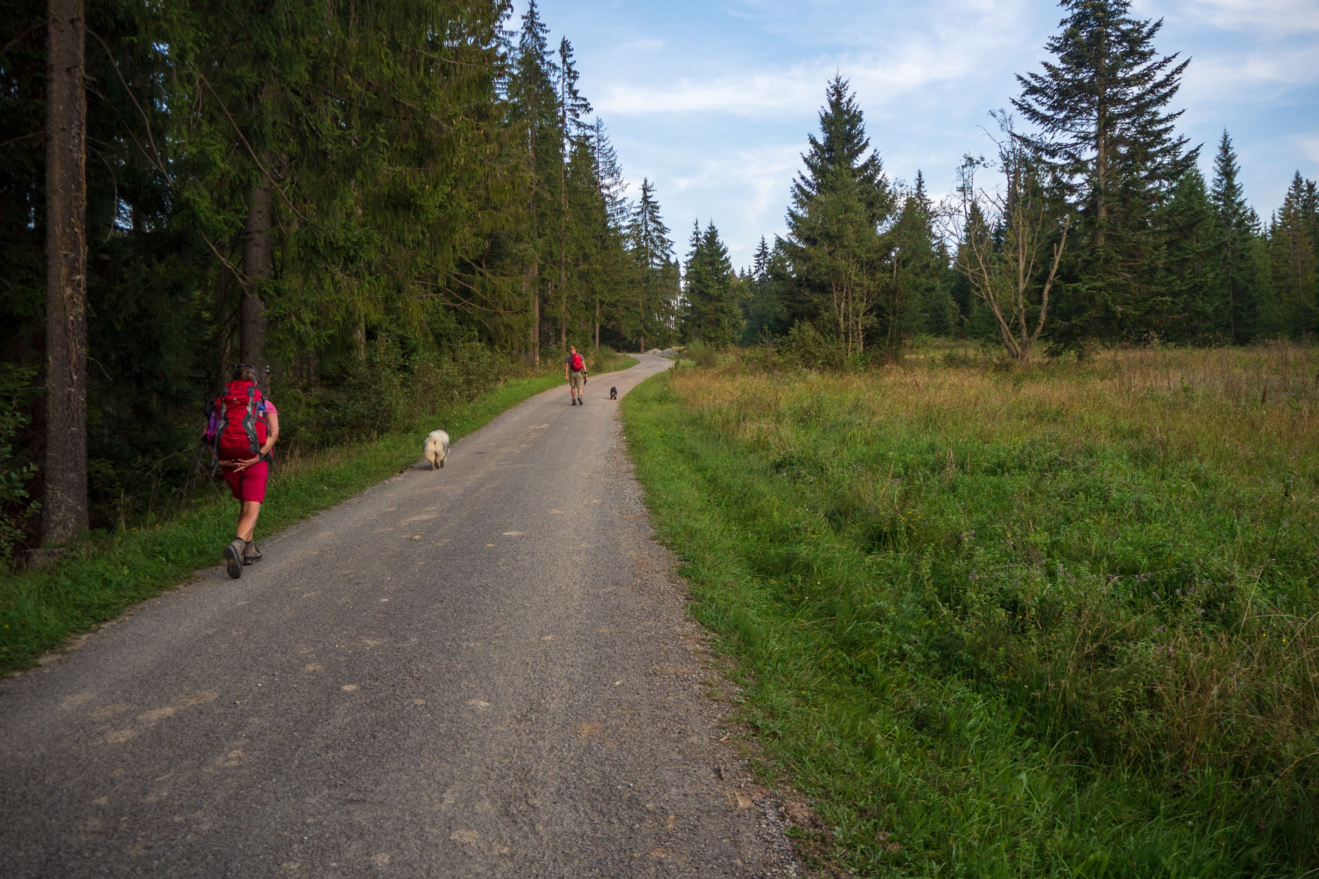 Babia hora z Pasekov (Oravské Beskydy)