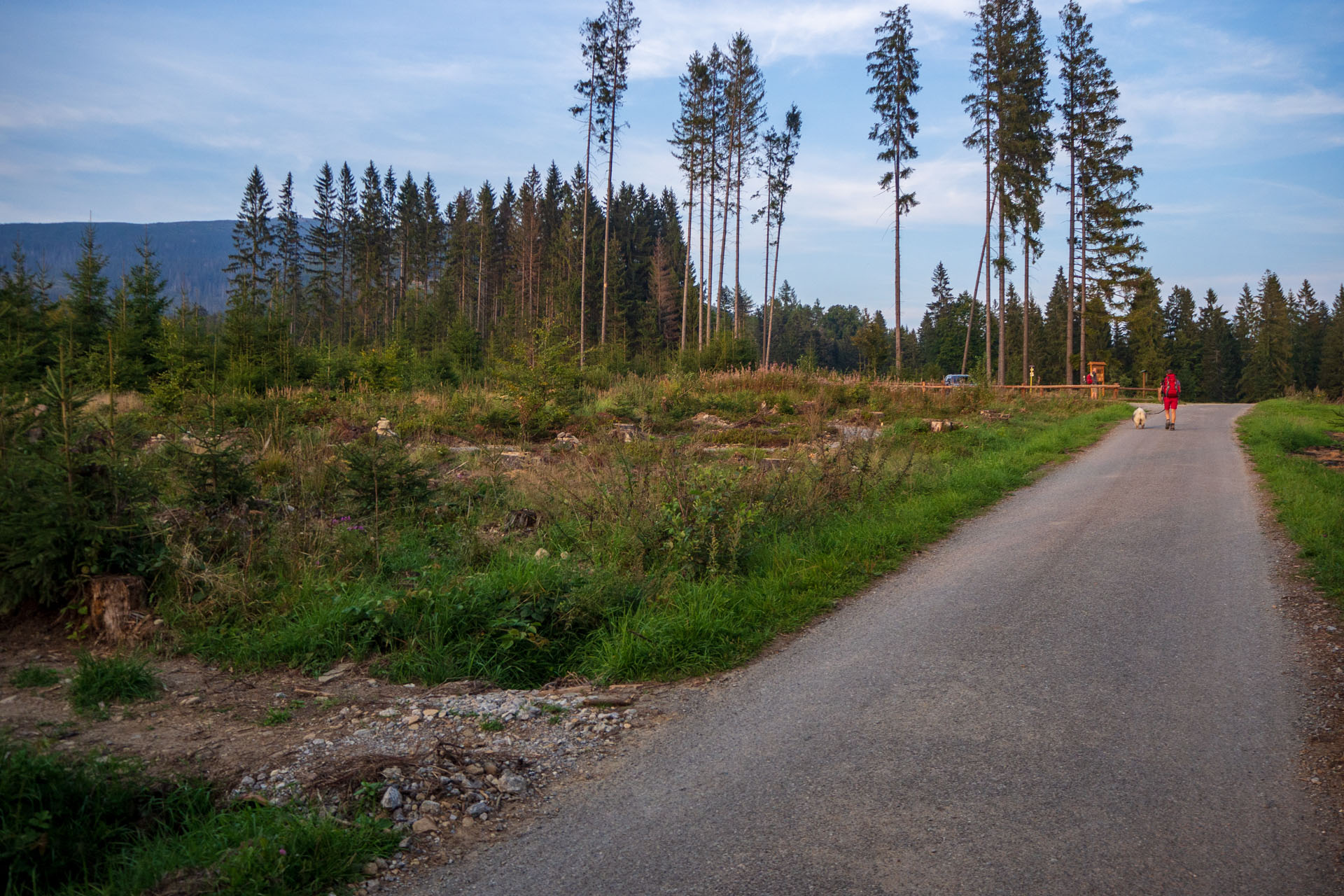 Babia hora z Pasekov (Oravské Beskydy)