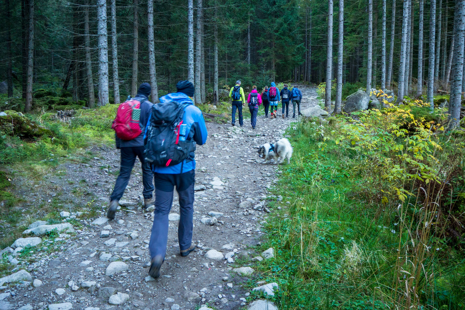 Baníkov z Pod Spálenej (Západné Tatry)