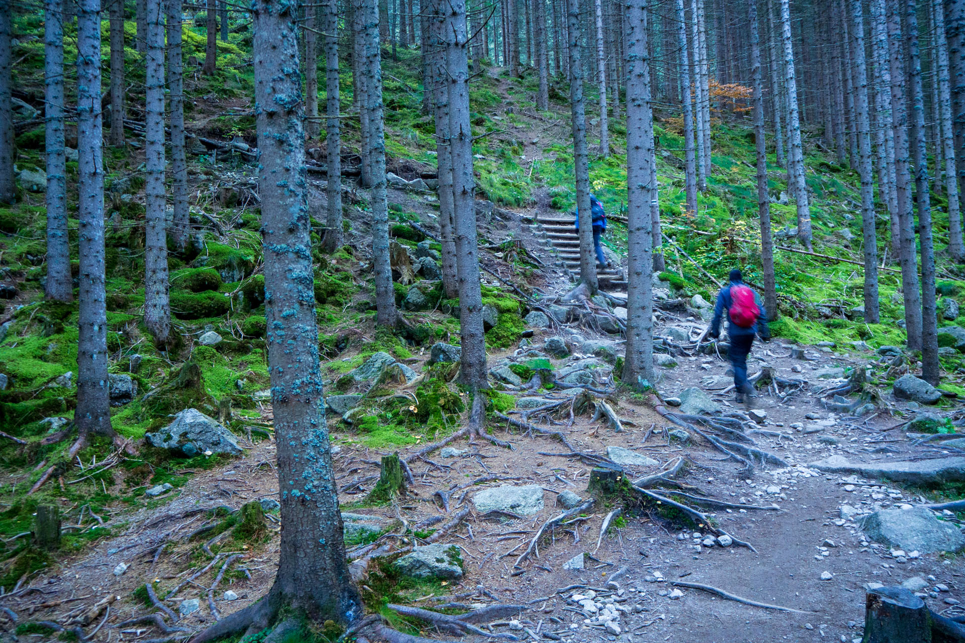 Baníkov z Pod Spálenej (Západné Tatry)