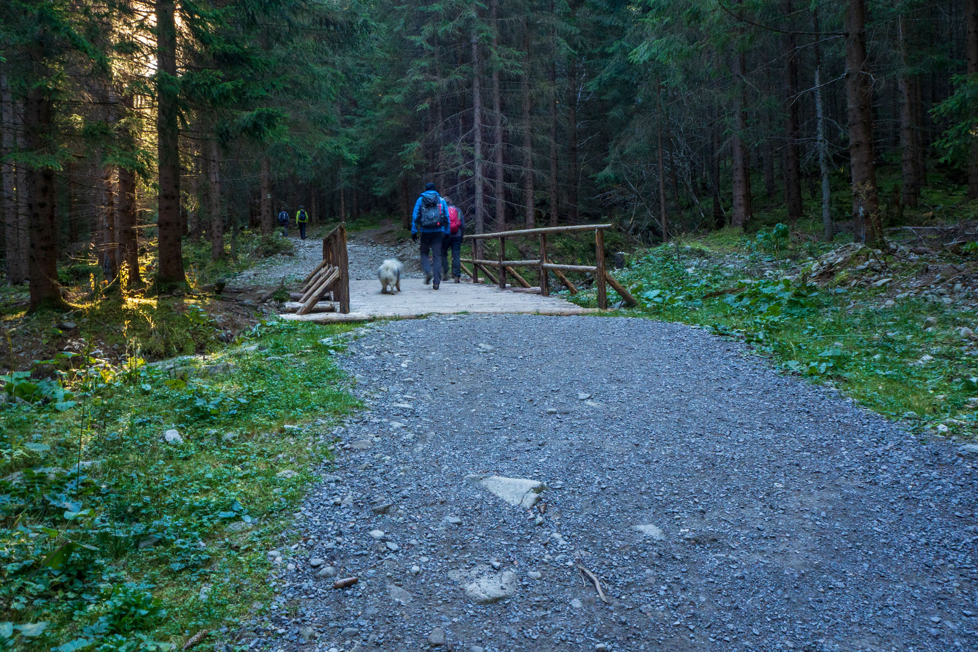 Baníkov z Pod Spálenej (Západné Tatry)