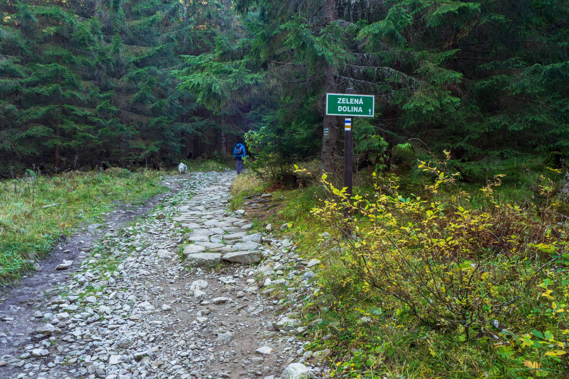 Baníkov z Pod Spálenej (Západné Tatry)