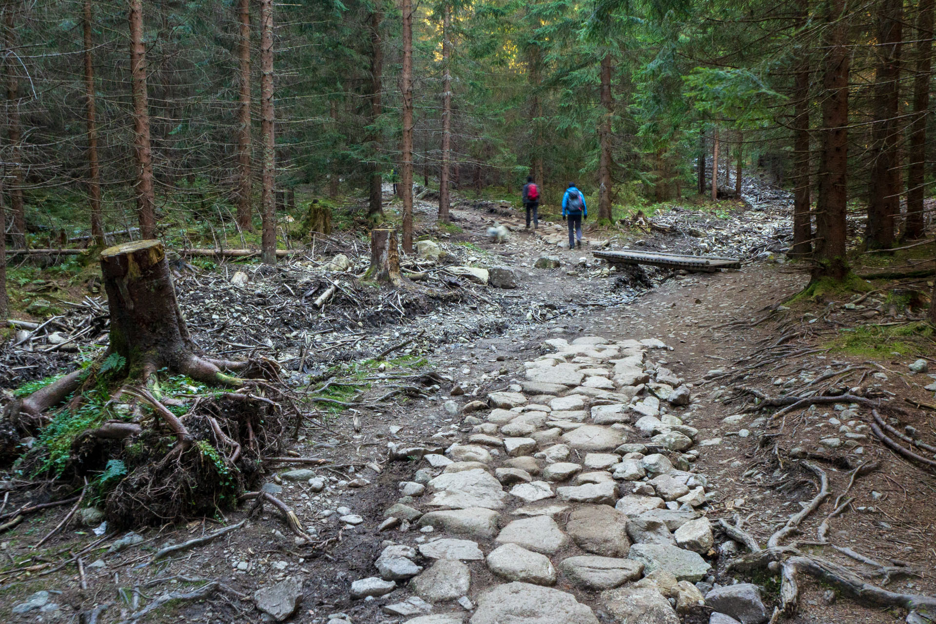 Baníkov z Pod Spálenej (Západné Tatry)