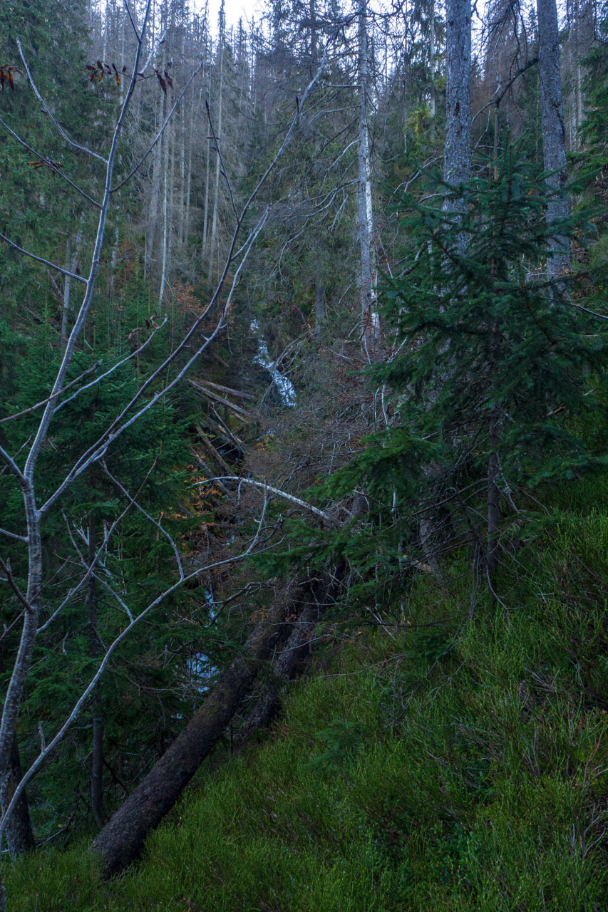 Baníkov z Pod Spálenej (Západné Tatry)