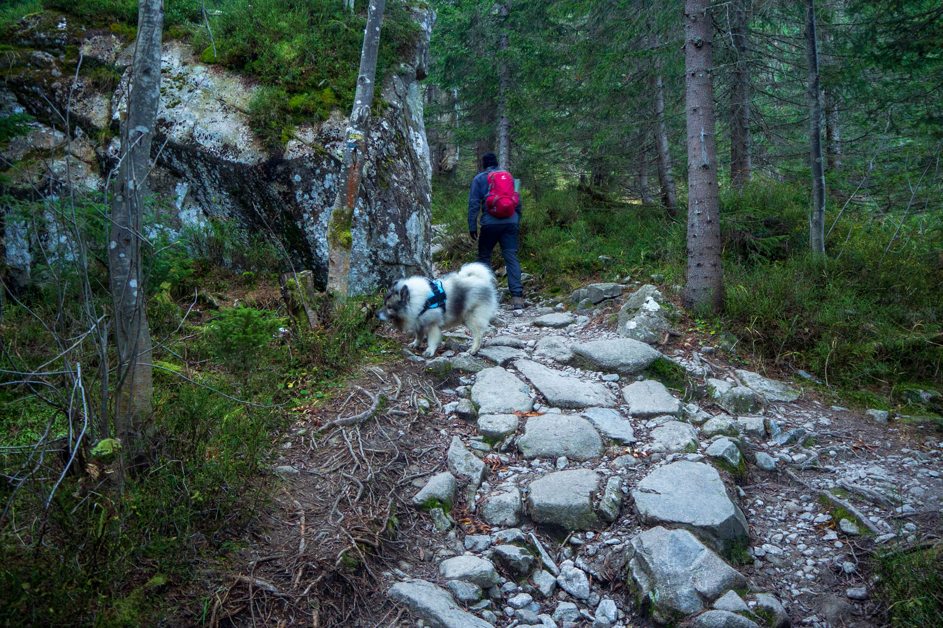 Baníkov z Pod Spálenej (Západné Tatry)