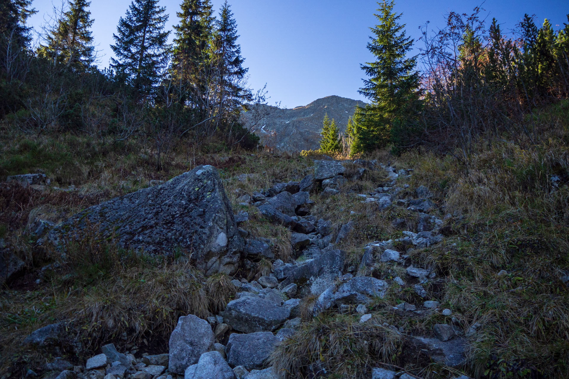 Baníkov z Pod Spálenej (Západné Tatry)