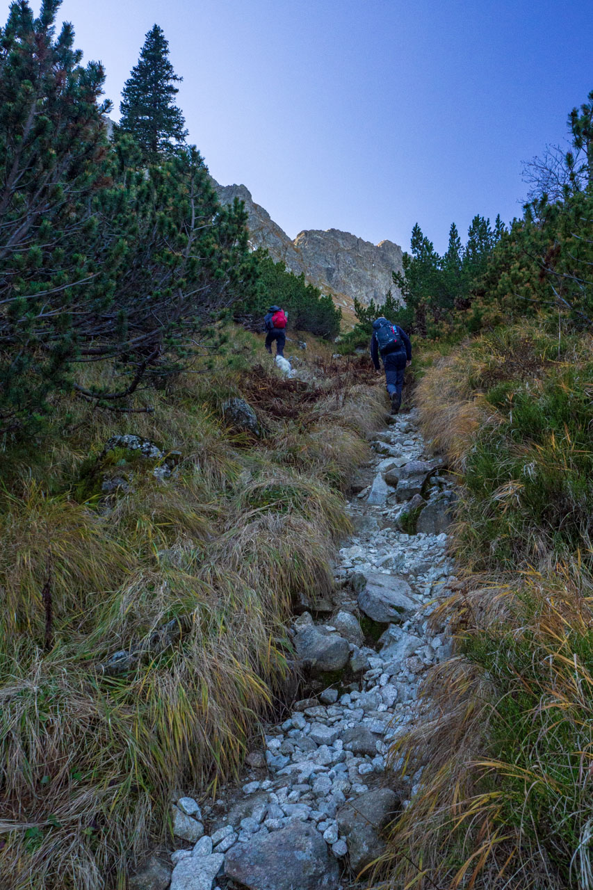 Baníkov z Pod Spálenej (Západné Tatry)