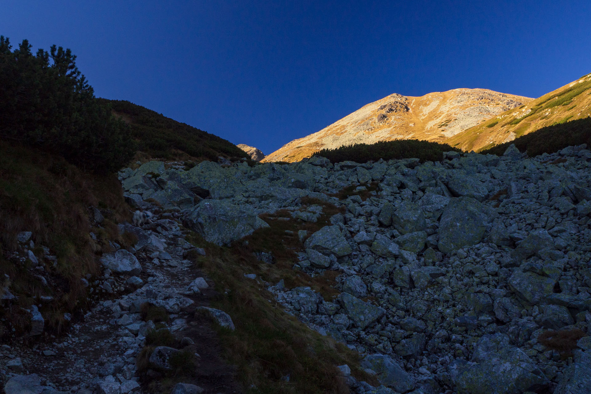 Baníkov z Pod Spálenej (Západné Tatry)