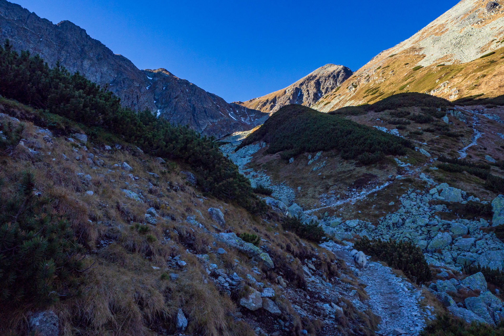 Baníkov z Pod Spálenej (Západné Tatry)