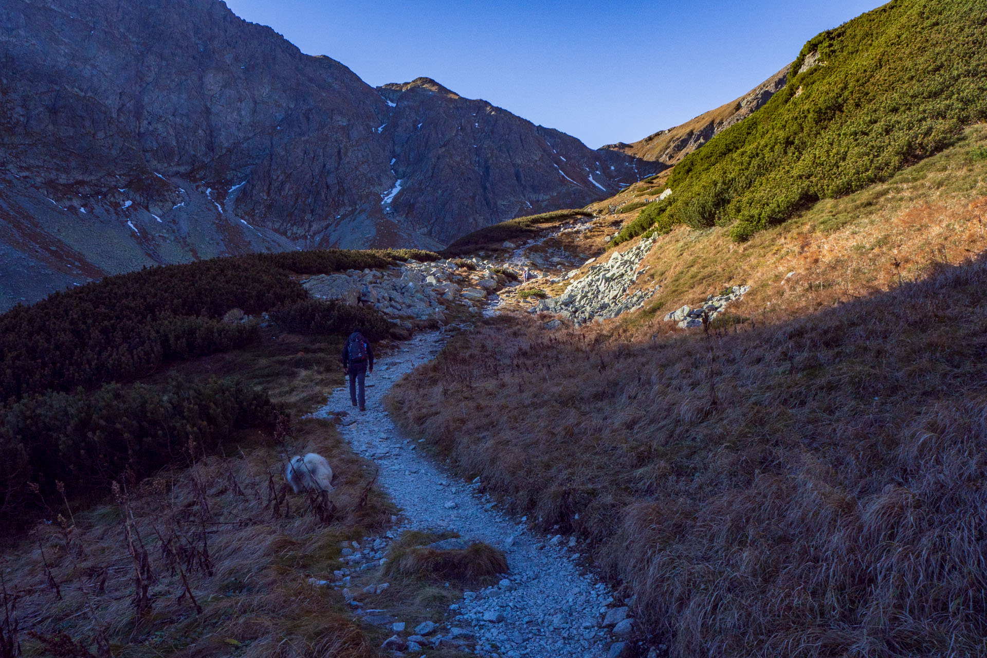 Baníkov z Pod Spálenej (Západné Tatry)