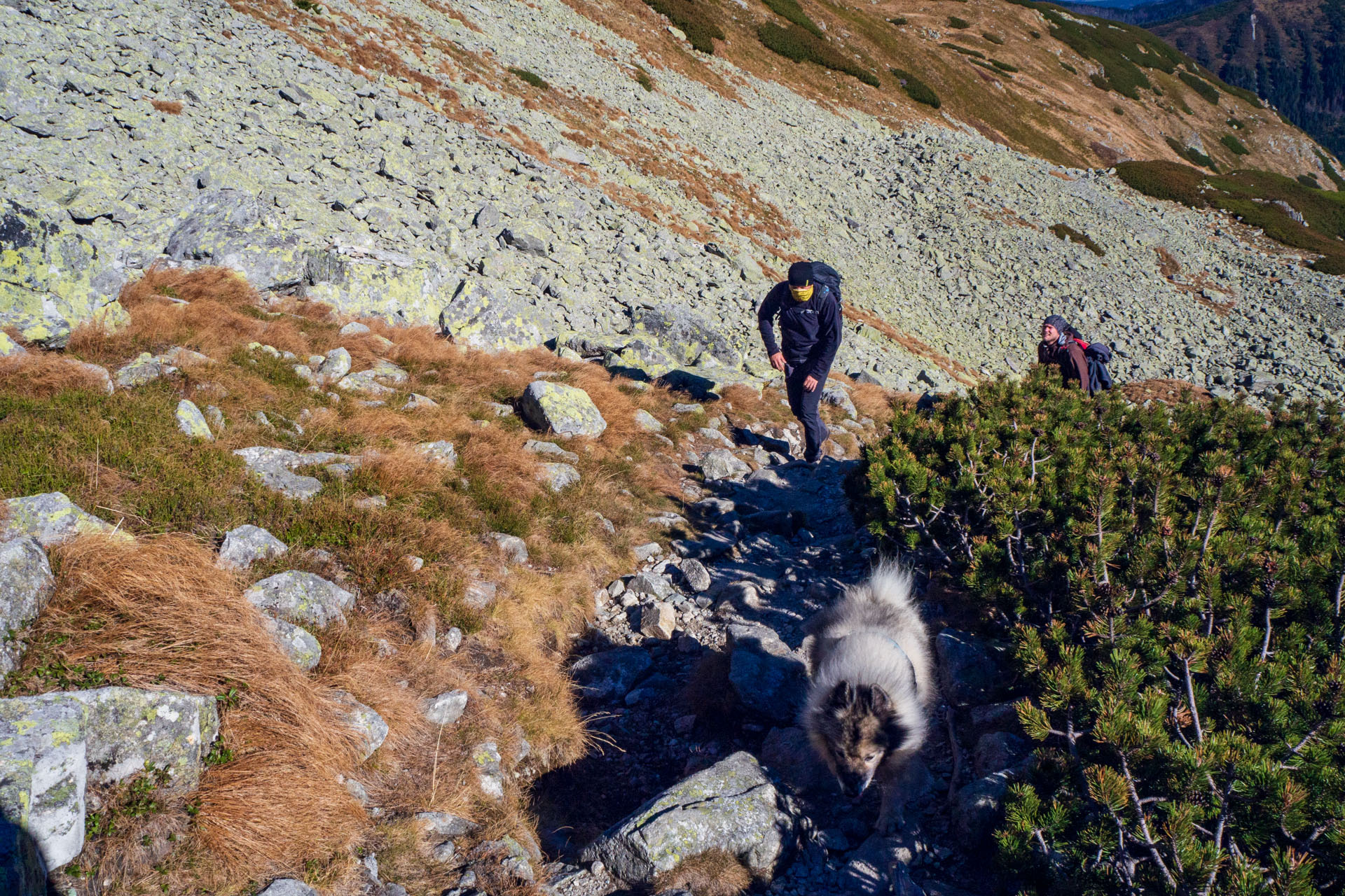 Baníkov z Pod Spálenej (Západné Tatry)