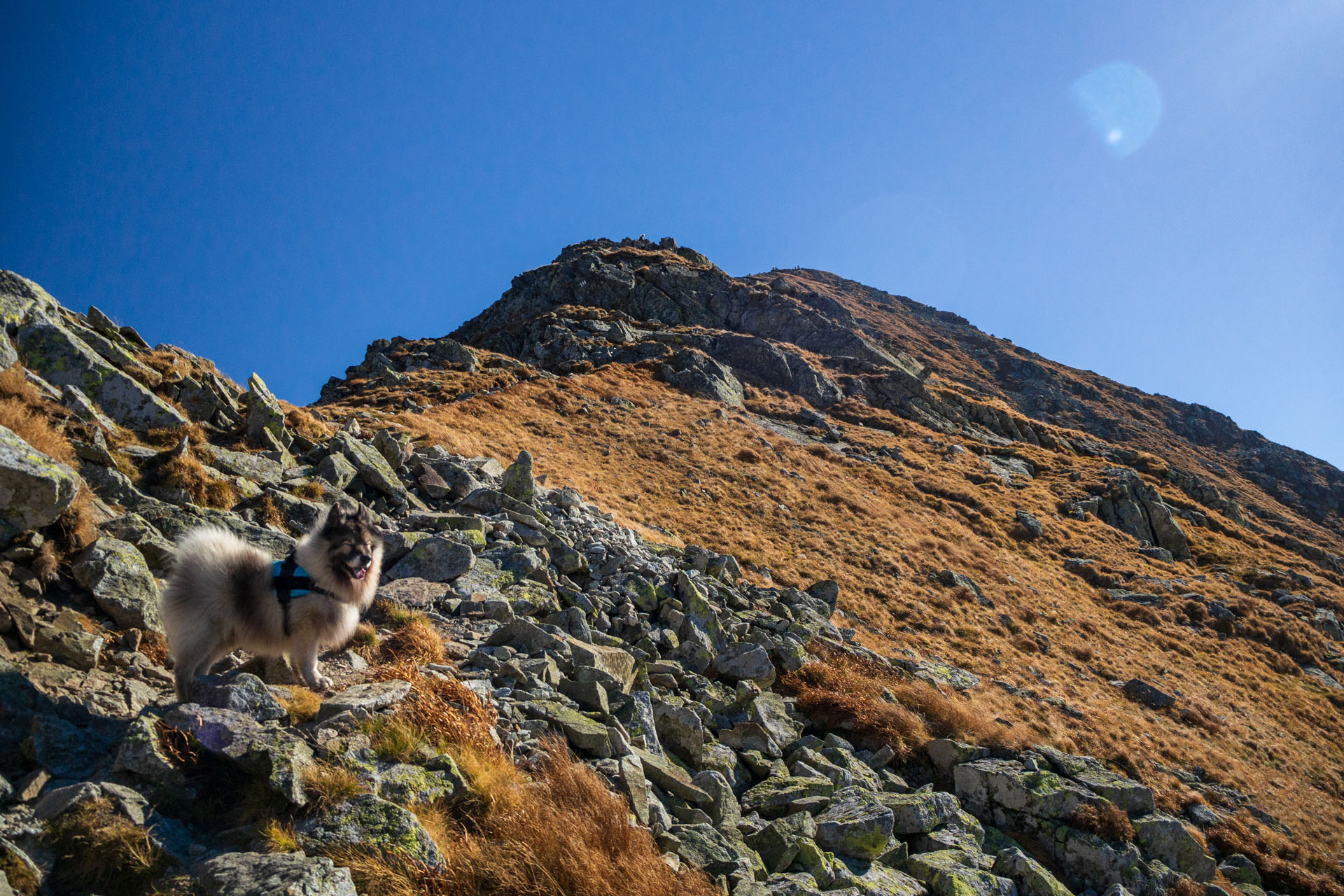 Baníkov z Pod Spálenej (Západné Tatry)