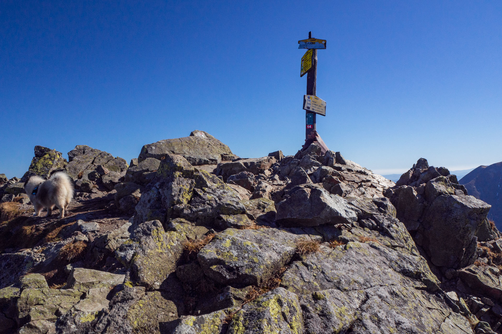 Baníkov z Pod Spálenej (Západné Tatry)