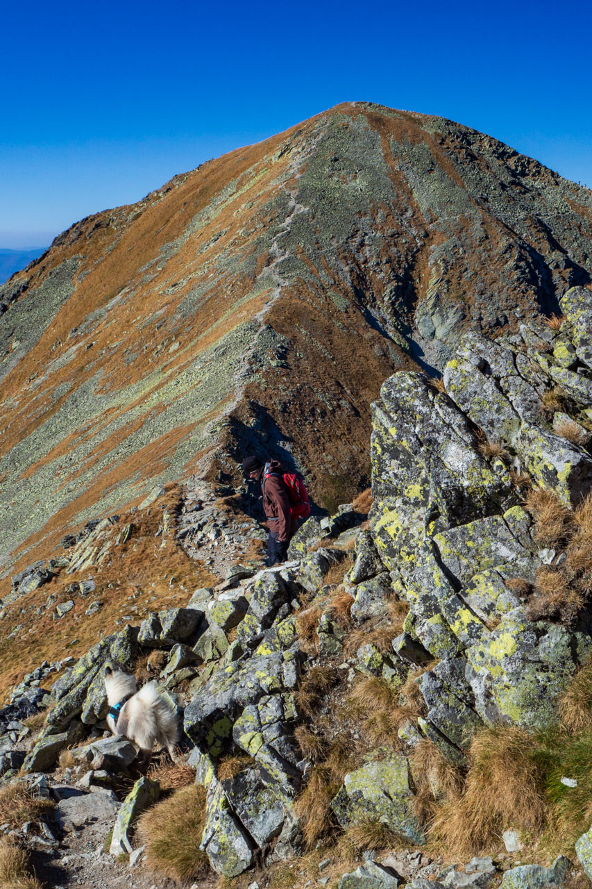 Baníkov z Pod Spálenej (Západné Tatry)