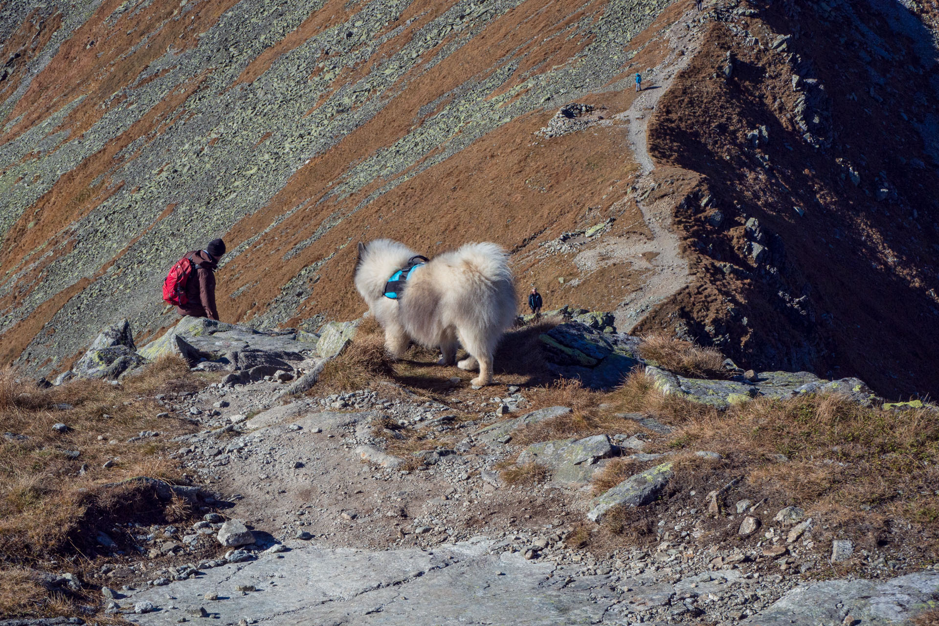 Baníkov z Pod Spálenej (Západné Tatry)