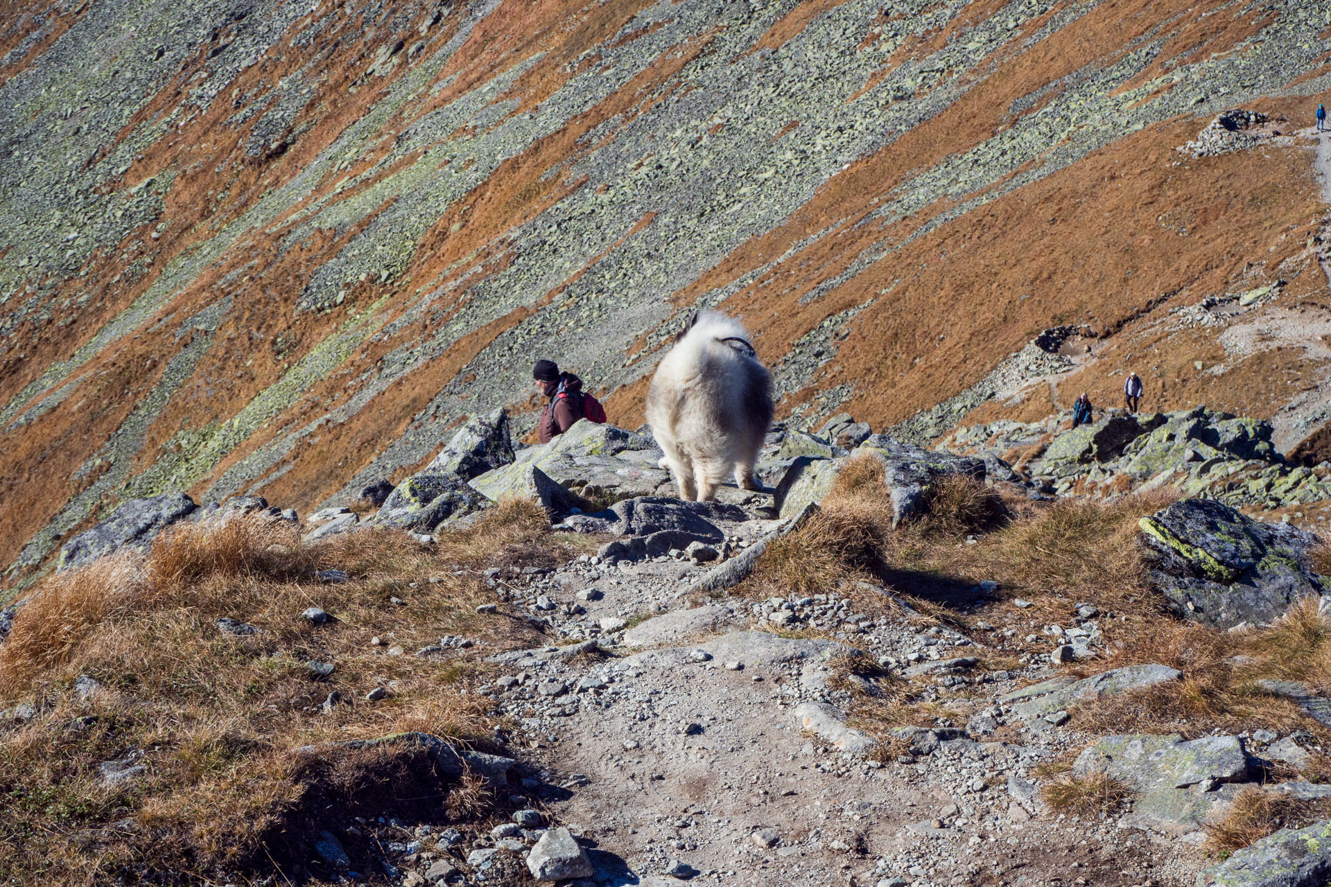 Baníkov z Pod Spálenej (Západné Tatry)