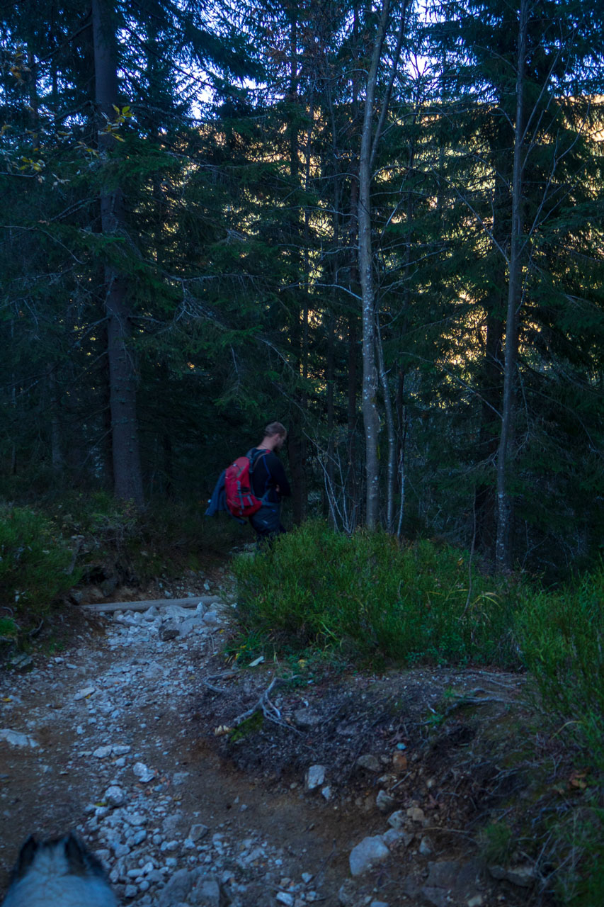 Baníkov z Pod Spálenej (Západné Tatry)