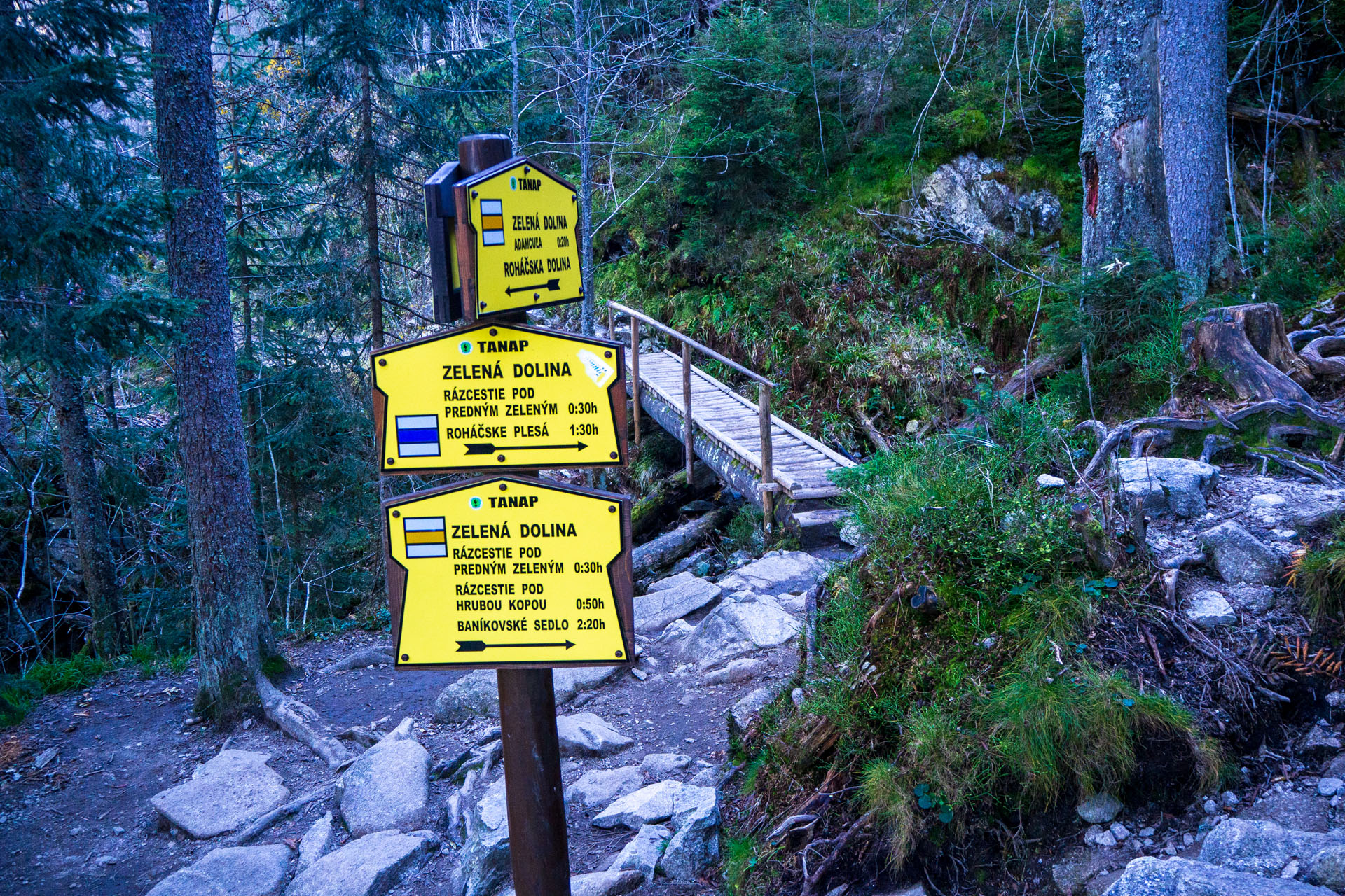 Baníkov z Pod Spálenej (Západné Tatry)