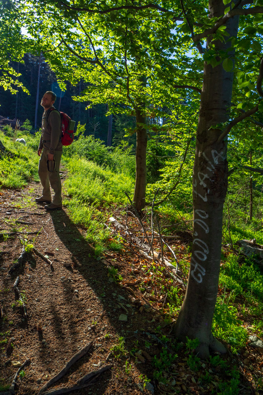 Baranec zo Žiarskej doliny (Západné Tatry)