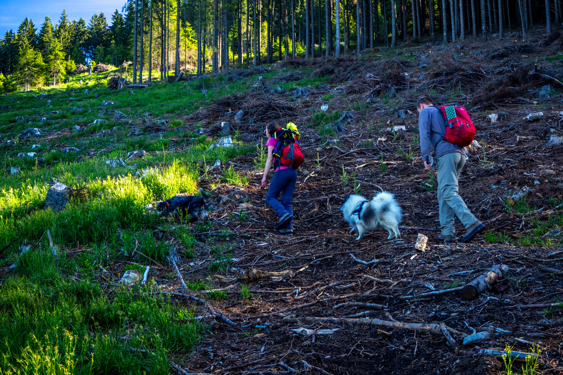 Baranec zo Žiarskej doliny (Západné Tatry)