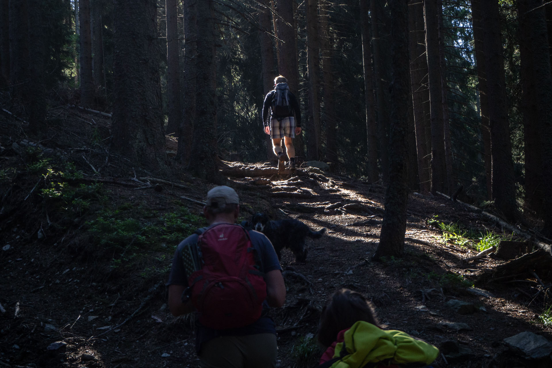 Baranec zo Žiarskej doliny (Západné Tatry)