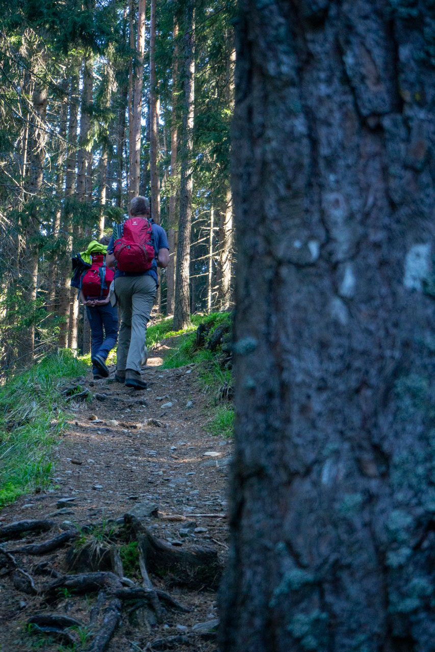 Baranec zo Žiarskej doliny (Západné Tatry)