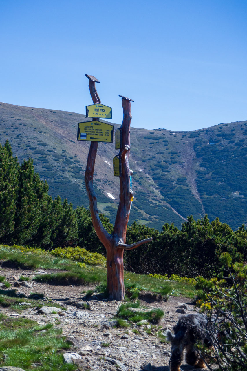 Baranec zo Žiarskej doliny (Západné Tatry)