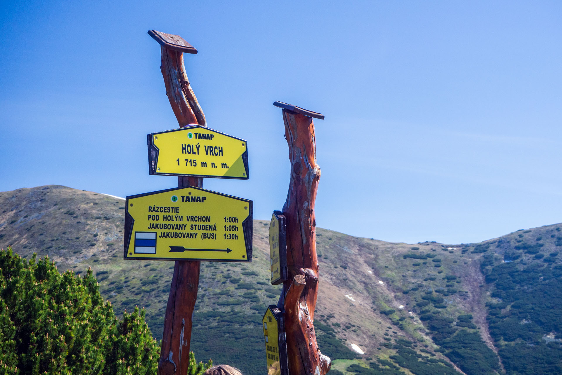 Baranec zo Žiarskej doliny (Západné Tatry)