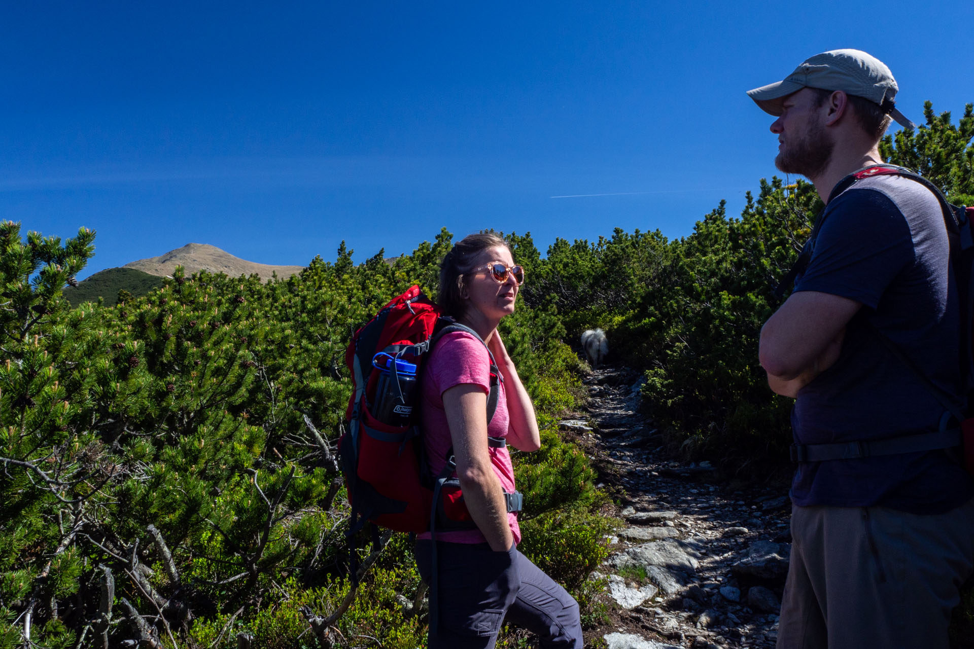 Baranec zo Žiarskej doliny (Západné Tatry)