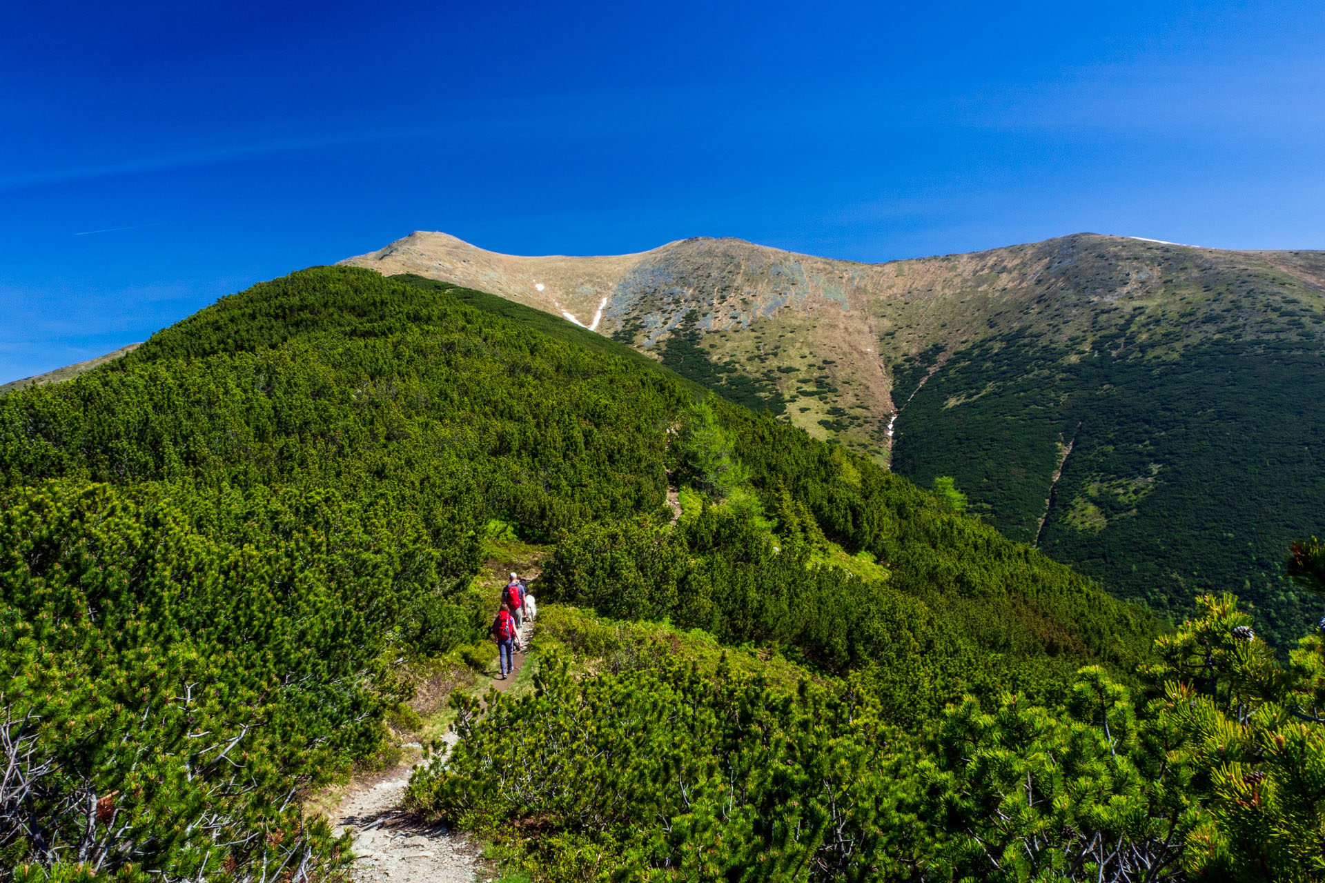 Baranec zo Žiarskej doliny (Západné Tatry)