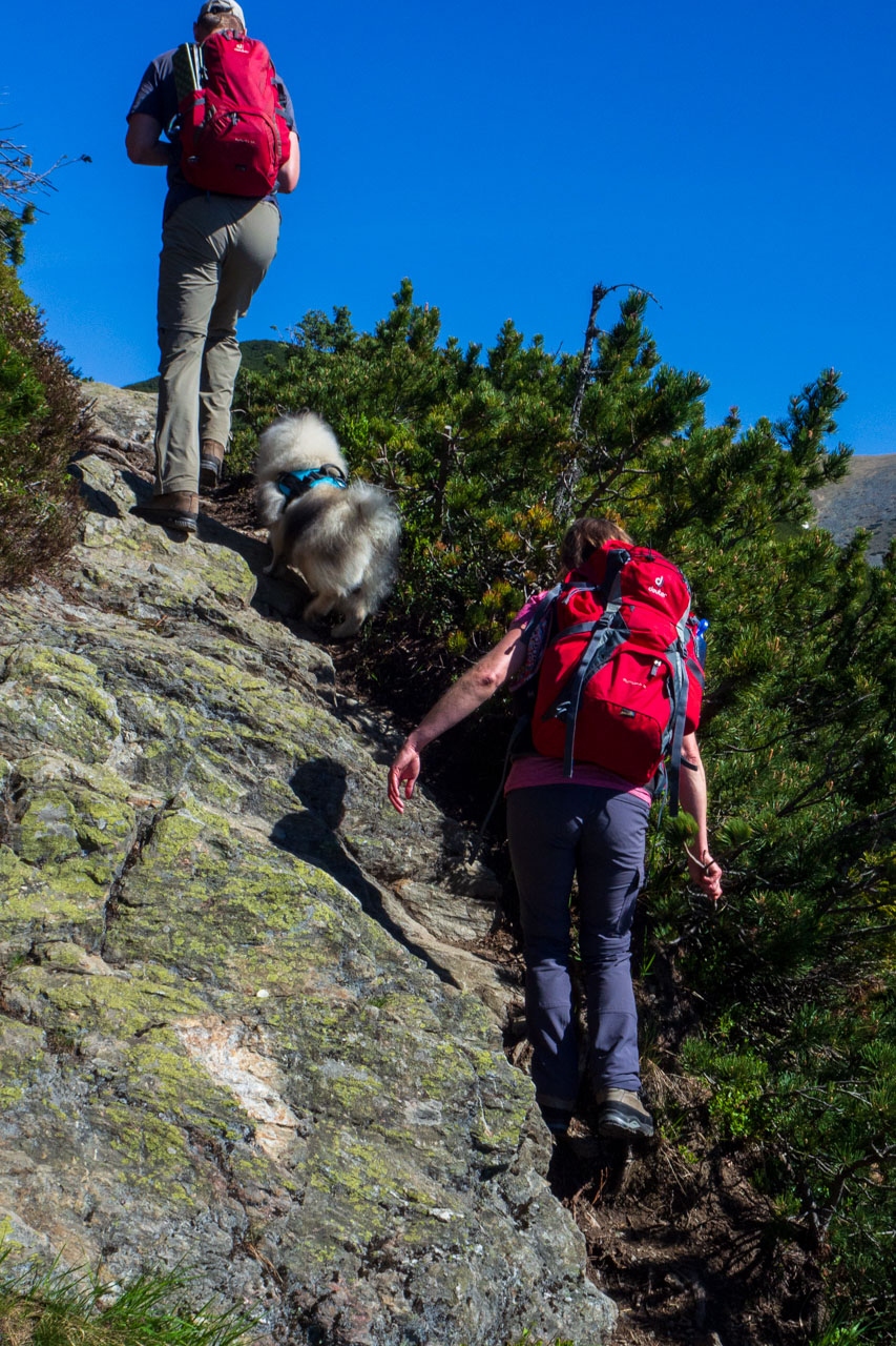 Baranec zo Žiarskej doliny (Západné Tatry)