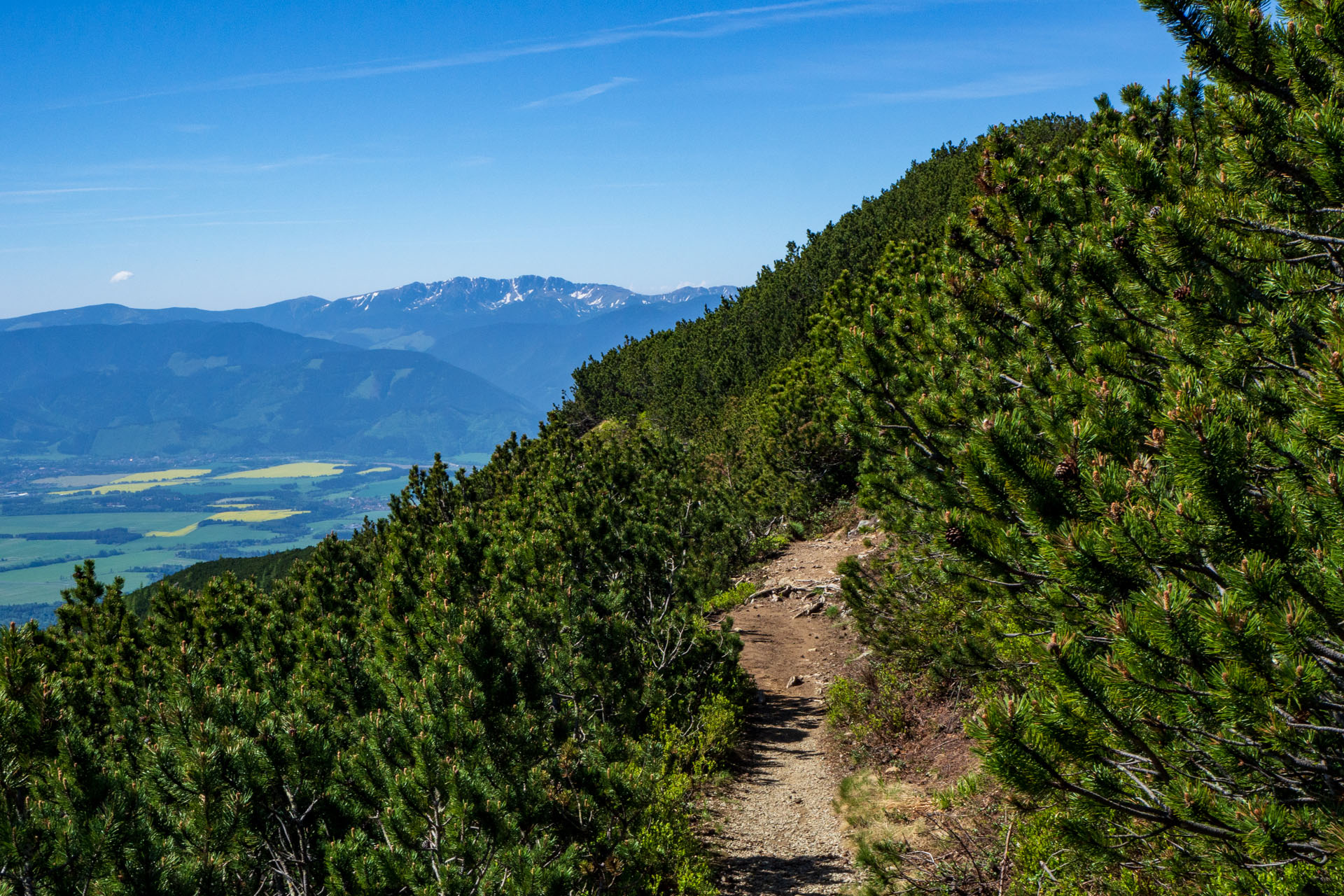 Baranec zo Žiarskej doliny (Západné Tatry)