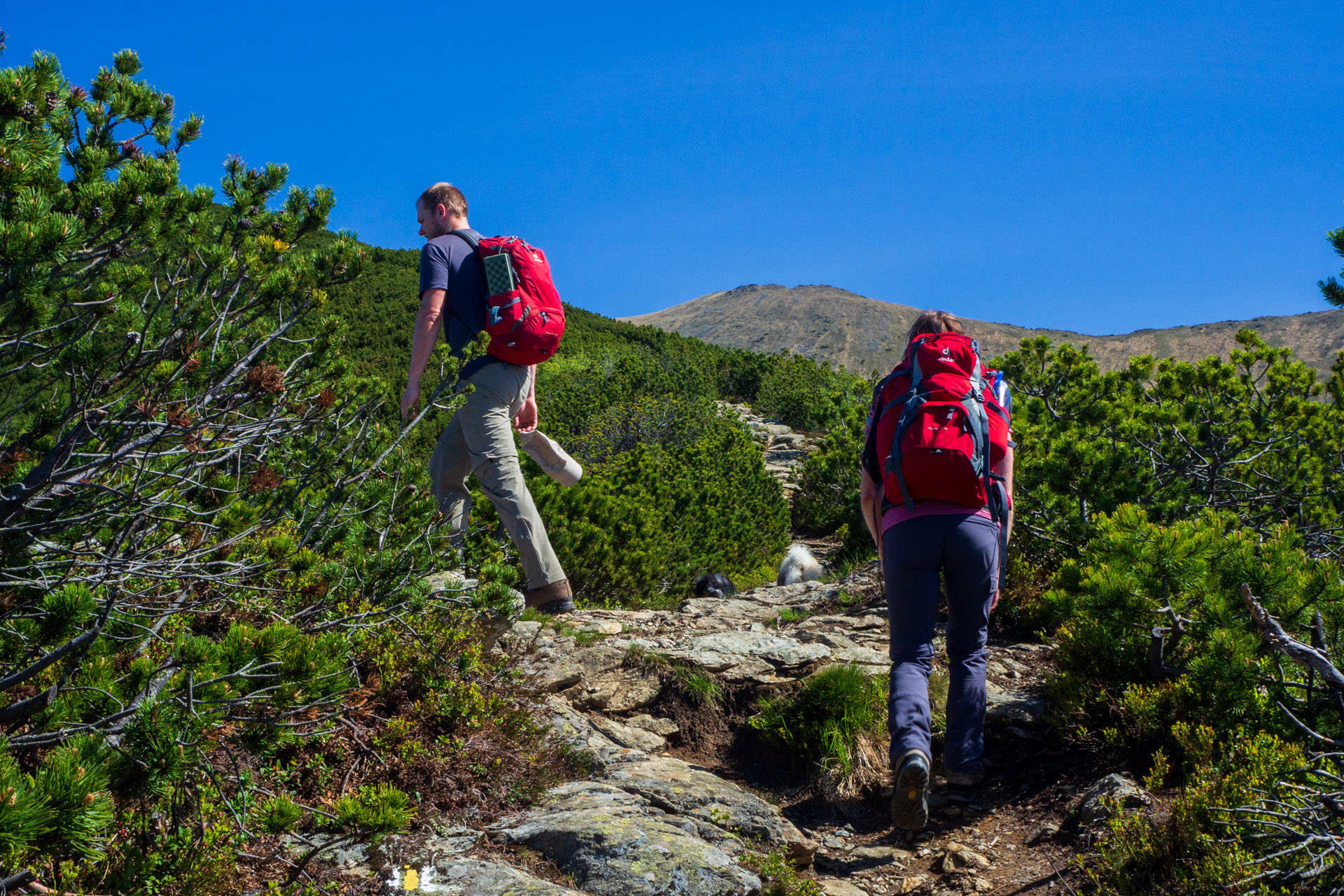 Baranec zo Žiarskej doliny (Západné Tatry)