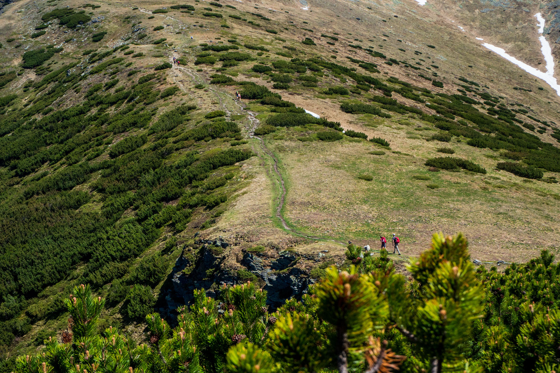 Baranec zo Žiarskej doliny (Západné Tatry)