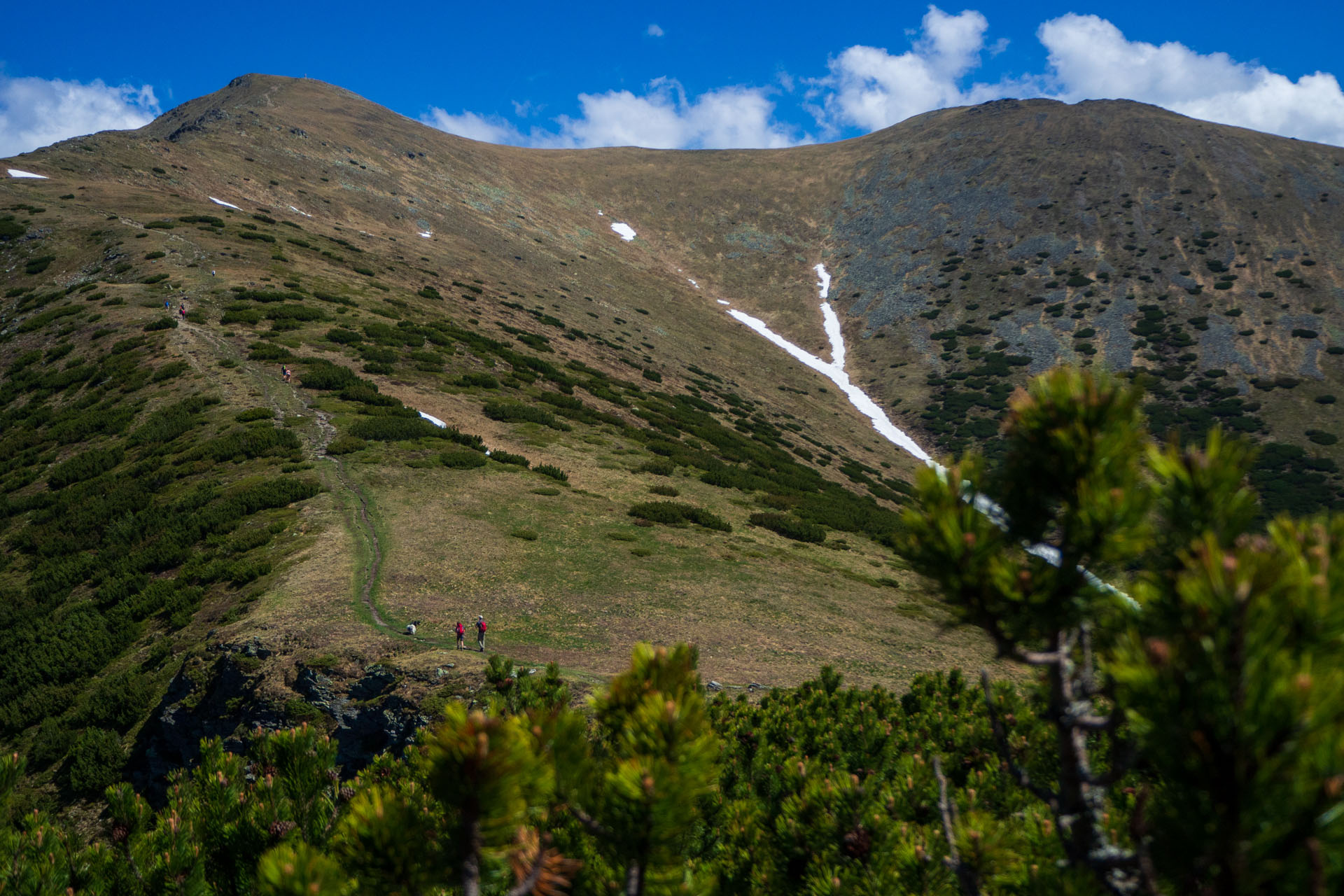 Baranec zo Žiarskej doliny (Západné Tatry)