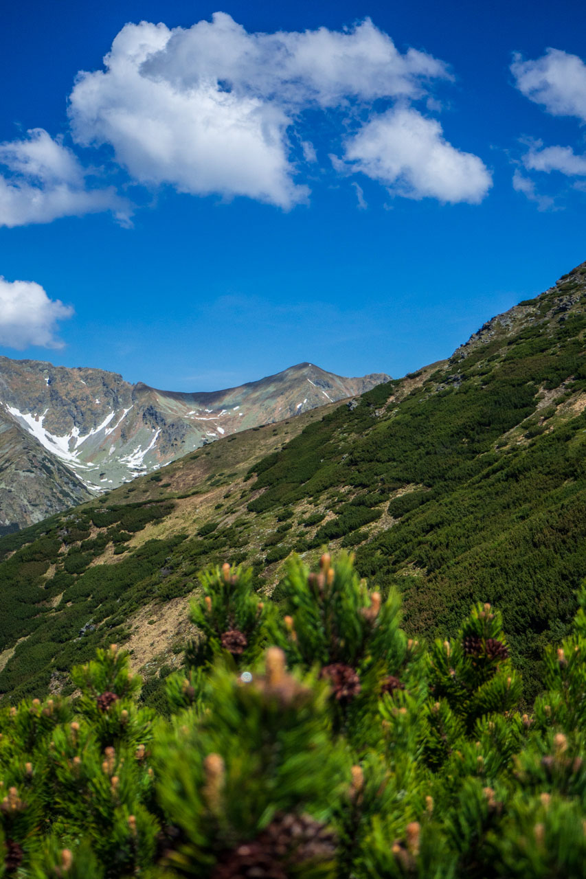 Baranec zo Žiarskej doliny (Západné Tatry)